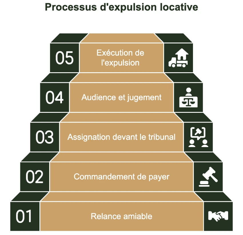 nfographie chronologique des etapes de la procedure d'expulsion...